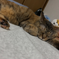 画像1064